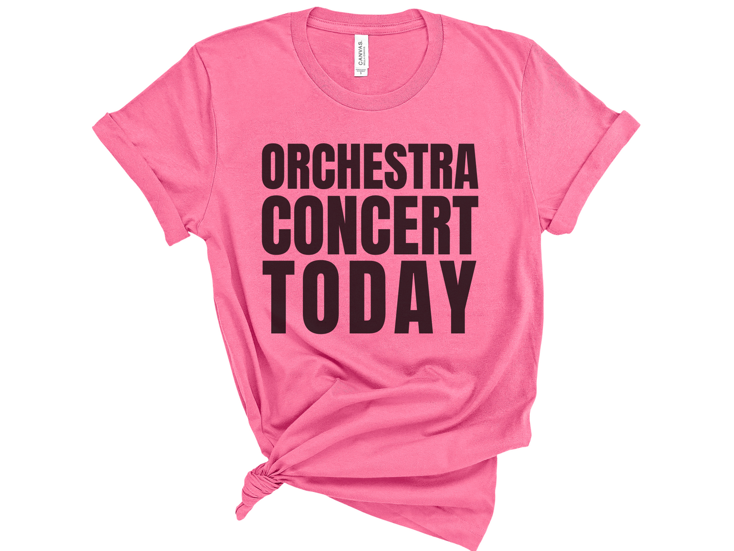 Orchestra Concert Today Unisex T-Shirt