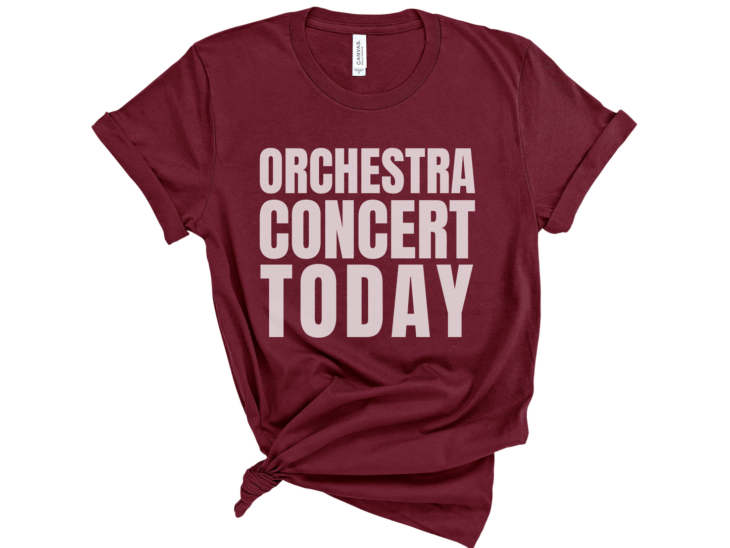 Orchestra Concert Today Unisex T-Shirt